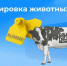 Памятка владельцам личных подсобных хозяйств Кировской области  по маркированию и учету сельскохозяйственных животных. - Подосиновский район