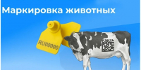 Памятка владельцам личных подсобных хозяйств Кировской области  по маркированию и учету сельскохозяйственных животных. - Подосиновский район