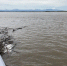 В Хабаровском крае продолжает расти уровень воды - КП Хабаровск