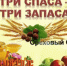 Три Спаса – три запаса - Библиотеки Тамбовской области