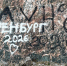 Северяне не сдерживают эмоций из-за того, что происходит в Териберке - Телекомпания ТВ-21