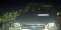 Десять овец попали под колеса Toyota Rav 4 в Боградском районе - Медиагруппа Юг Сибири