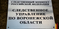 Под Воронежем 2-летняя девочка выпала из окна 3 этажа дома - РИА Воронеж