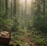 Первоисточник - Syktyvkar.1istochnik.Ru