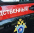 СКР Приморья организована проверка по факту нападения на 13-летнюю девочку в Партизанске - Следственный комитет
