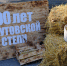 «Хомутовской степи — 100 лет»: в Донецке дали старт юбилейному циклу мероприятий - Единая Россия