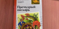 Громкие чтения «Сказки вслух» - ЦБС г. Карталы
