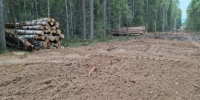 Фото: инициативная группа - Вологда-поиск