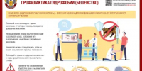 Роспотребнадзор разъяснил как уберечься от бешенства - Кувандыкский городской округ