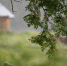 Тепло возвращается - MyOmutninsk.Ru