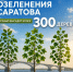 План по осенней высадке крупномеров в рамках программы озеленения Саратова - Правительство Саратовской области