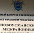 Следственными органами Следственного комитета Российской Федерации по Воронежской области по факту падения ребенка из окна жилого дома проводится доследственная проверка - Следственный комитет