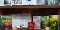 Книжная выставка-ассорти «Мир в фокусе» - ЦБС Вольского района
