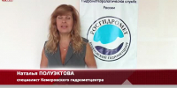 Видео - ТВН