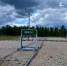 Вырастить лес - Pln-Pskov.Ru