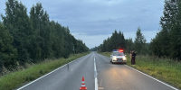 В минувшие выходные в Вологодском округе в ДТП пострадал ребенок - Газета Маяк