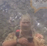 «Я найду им применение»: военный попросил губернатора Кубани высылать ему тех, кто высказывается против СВО. Штрафов недостаточно. Есть предложение эффективнее - LiveKuban.Ru
