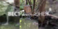 Потоки грязной воды попали в Воронежское водохранилище из-за засора на коллекторе - ГТРК Воронеж