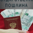    Изменение госпошлин в сфере миграции. - Юргамышский муниципальный округ