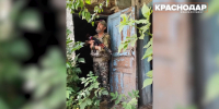 Боец Сергей Дударев вернулся с СВО и помогает собирать гумпомощь в Краснодаре - ТК Краснодар