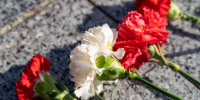 гвоздики= - ИА Удмуртия