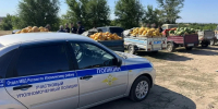 Полиция проверила придорожные кафе и магазины на трассе в Волгоградской области - Комсомольская Правда