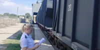 Более 109 тысяч тонн кормов экспортировали из Краснодарского края - Комсомольская Правда