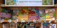 В царстве насекомых - Центральная районная библиотека