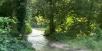 «Вонючая вода стекает к водохранилищу». Зловонная «река» в лесу возмутила воронежцев - МОЁ! Online