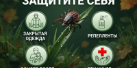 Калужан предупреждают о втором пике активности клещей - Телерадиокомпания Ника