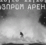 «Газпром Арена» - Вологда-поиск