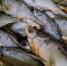 Несоответствие сырья и готовой рыбной продукции выявили под Волгоградом - Родной город Волгоград