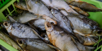 Несоответствие сырья и готовой рыбной продукции выявили под Волгоградом - Родной город Волгоград