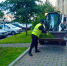 Публикуем еженедельный отчёт по комплексной уборке муниципальных территорий в Заневском городском поселении - Заневское городское поселение