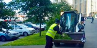 Публикуем еженедельный отчёт по комплексной уборке муниципальных территорий в Заневском городском поселении - Заневское городское поселение