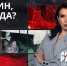 Питомец на лето: почему люди бросают животных после дачного сезона - ЛенТВ24
