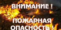 Высокая пожарная опасность сохраняется в отдельных районах Курганской области 16-19 августа - МЧС