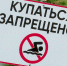 Роспотребнадзор РТ назвал признаки опасного для купания водоема - Альметьевск РТВ