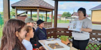 Музей под открытым небом - Координационно-методический центр