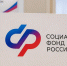 Пособие по беременности и родам в ЛНР получили более 1,3 тыс. работающих мам с начала года - Правительство ЛНР
