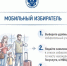 Голосование по месту нахождения «Мобильный избиратель». - Малмыжский район