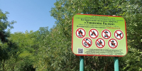 Ушакова балка стала чище: с заповедной территории вывезли 2кубометра мусора - Севприроднадзор