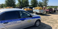 МВД не выявило нарушений в сфере придорожной торговли под Волгоградом - Газета Городские вести