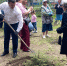 На Левобережье появилась Аллея Памяти в честь погибших в ходе СВО омичей - СуперОмск