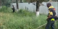 Покос травы по ул.Осканова,6А. - Администрация г. Малгобек