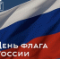 Ярославцев пригласили на программу ко Дню флага России - Городские новости