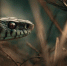Нейросеть Midjourney - Cher-Poisk.Ru