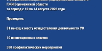 О результатах контрольной (надзорной) деятельности ГЖИ Воронежской области за период с 10 по 14 августа 2026 года - Государственная жилищная инспекция