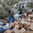 В Венёвском районе обнаружена большая несанкционированная свалка - ИА Новомосковск Сегодня