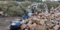 В Венёвском районе обнаружена большая несанкционированная свалка - ИА Новомосковск Сегодня